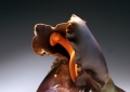 Heterozygous Phenotype (Interchangeable Phallic Parts) Side
