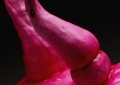 Unfertilized Egg (Tongue) Side