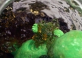 Meconium Fetus Interior Detail