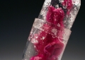 Encapsulated Fetus