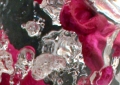 Encapsulated Fetus Butt/Intestine Detail