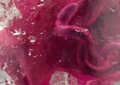 Encapsulated Fetus Face Detail