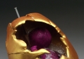Ambigious Fetus (Front)